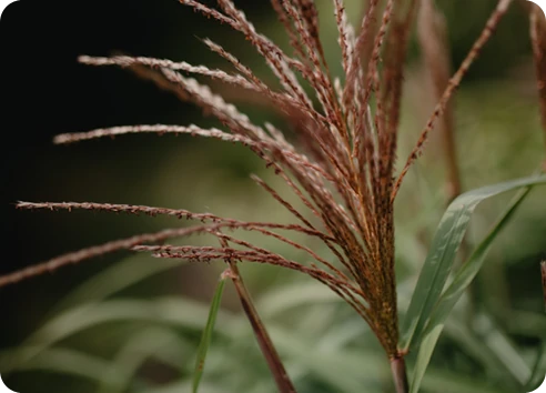 W programie Ninanki dzieci uczą się przez ruch, zabawę i  doświadczenie.